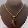 14k Solid Gold Lion Tooth Pendant with cubic zirconia and 14k Franco chain Diamond Cut , symbol of leadership and power ,For Him ,For Her
